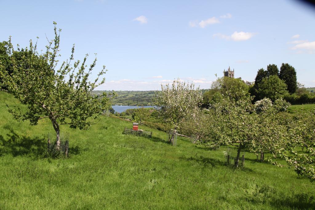 Отель The Seymour Arms Blagdon Экстерьер фото